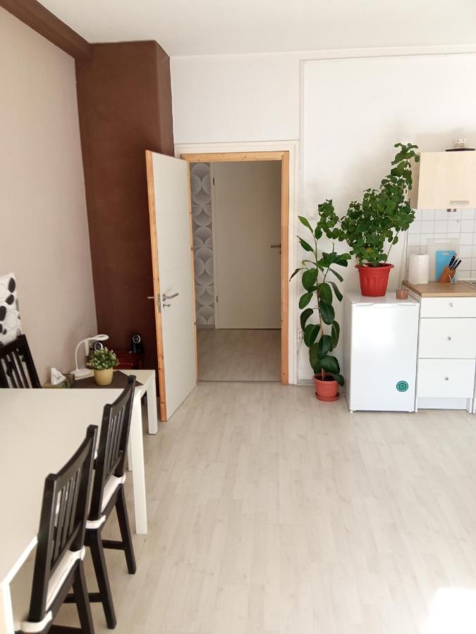 Free Parking, Balcony, Near To City Park Budapesta Exterior foto