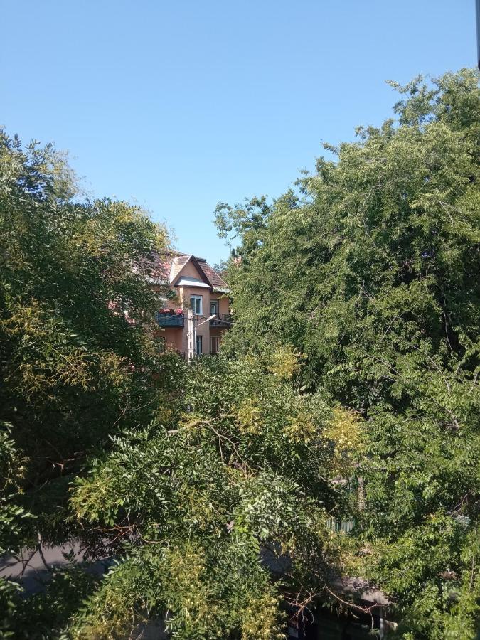 Free Parking, Balcony, Near To City Park Budapesta Exterior foto