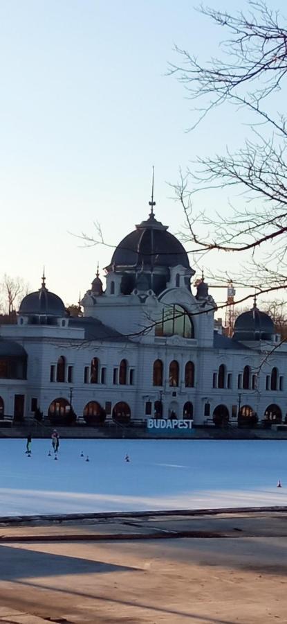 Free Parking, Balcony, Near To City Park Budapesta Exterior foto